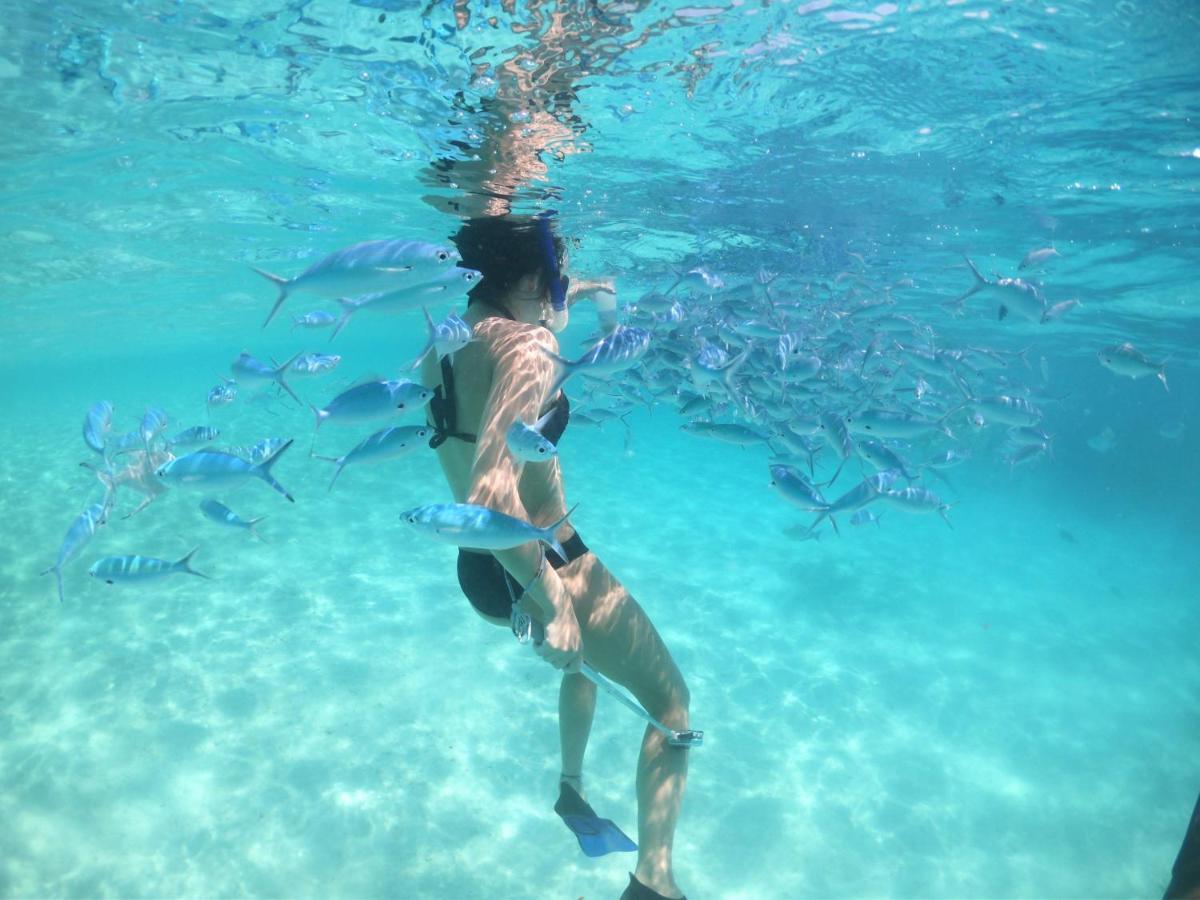 ホテル White Coral Rasdhoo エクステリア 写真