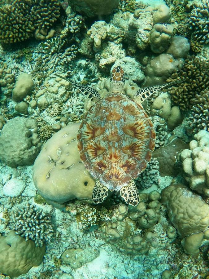 ホテル White Coral Rasdhoo エクステリア 写真
